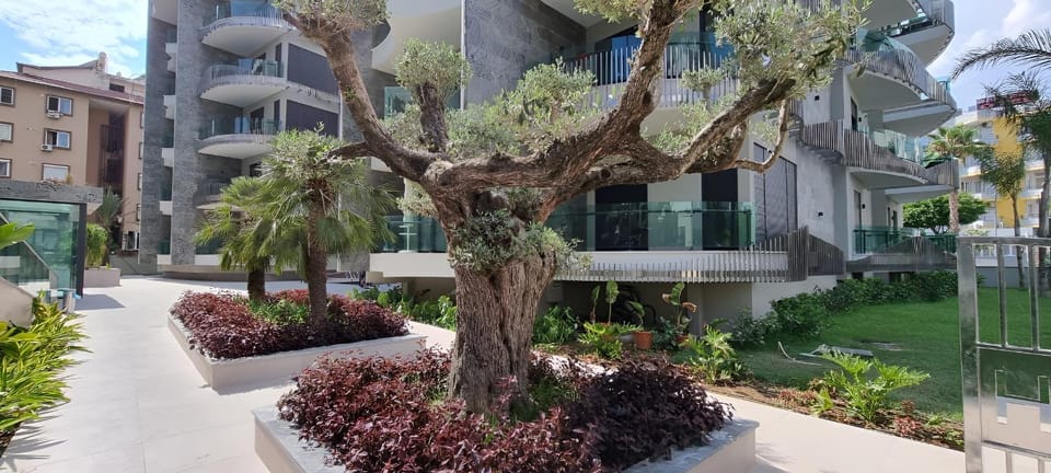 Property building, Garden