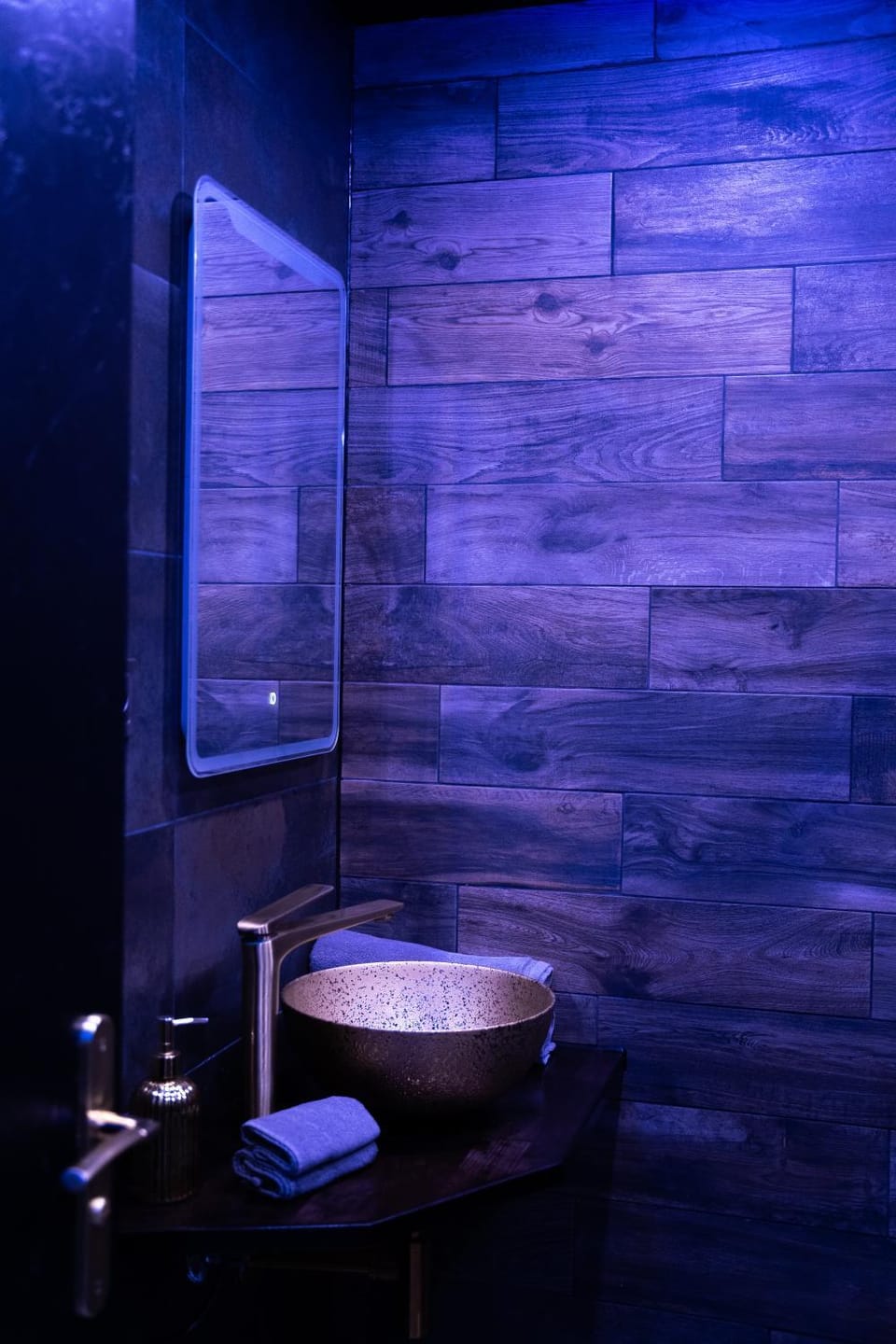 Appartement Jacuzzi Apartment in Strasbourg