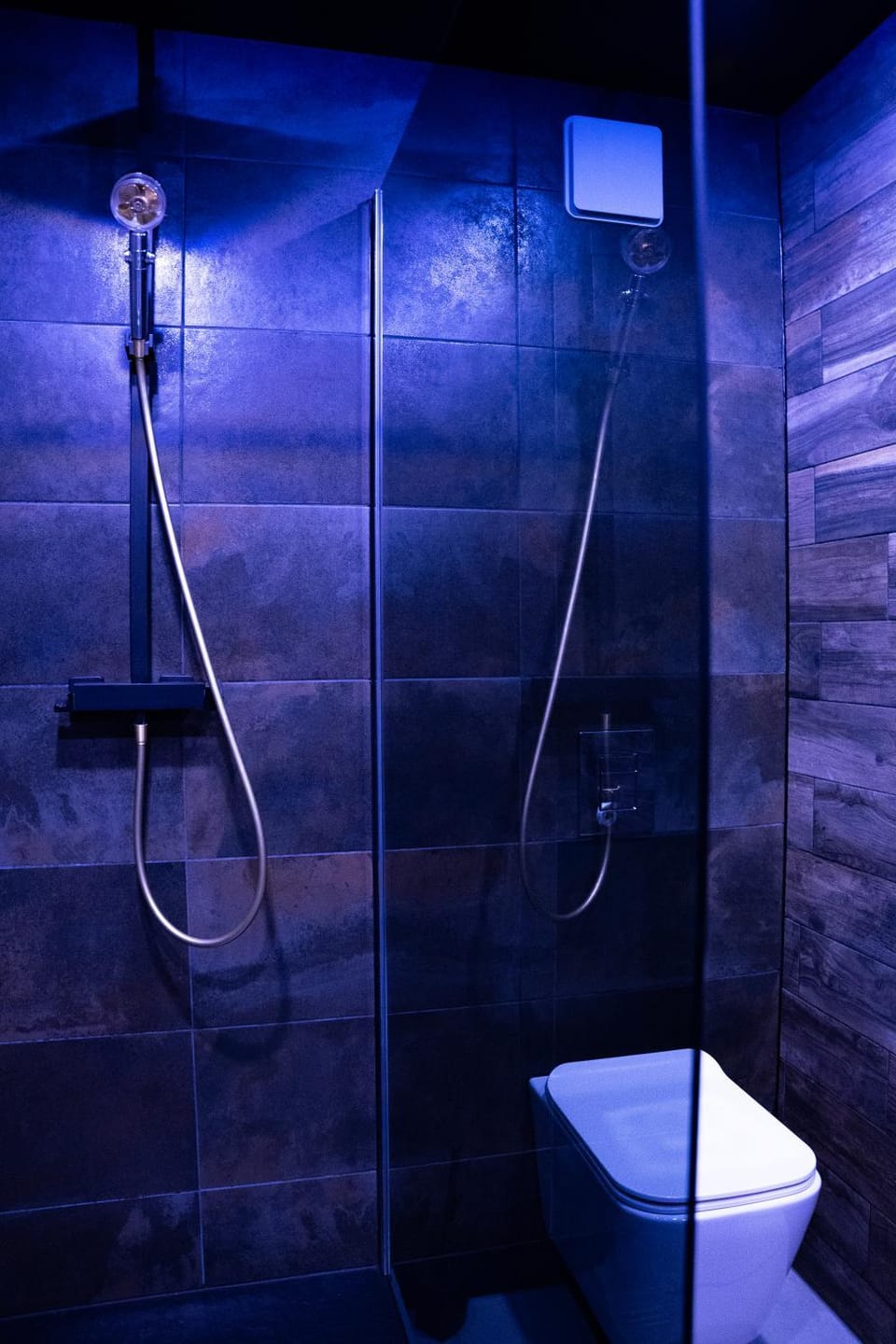 Appartement Jacuzzi Apartment in Strasbourg