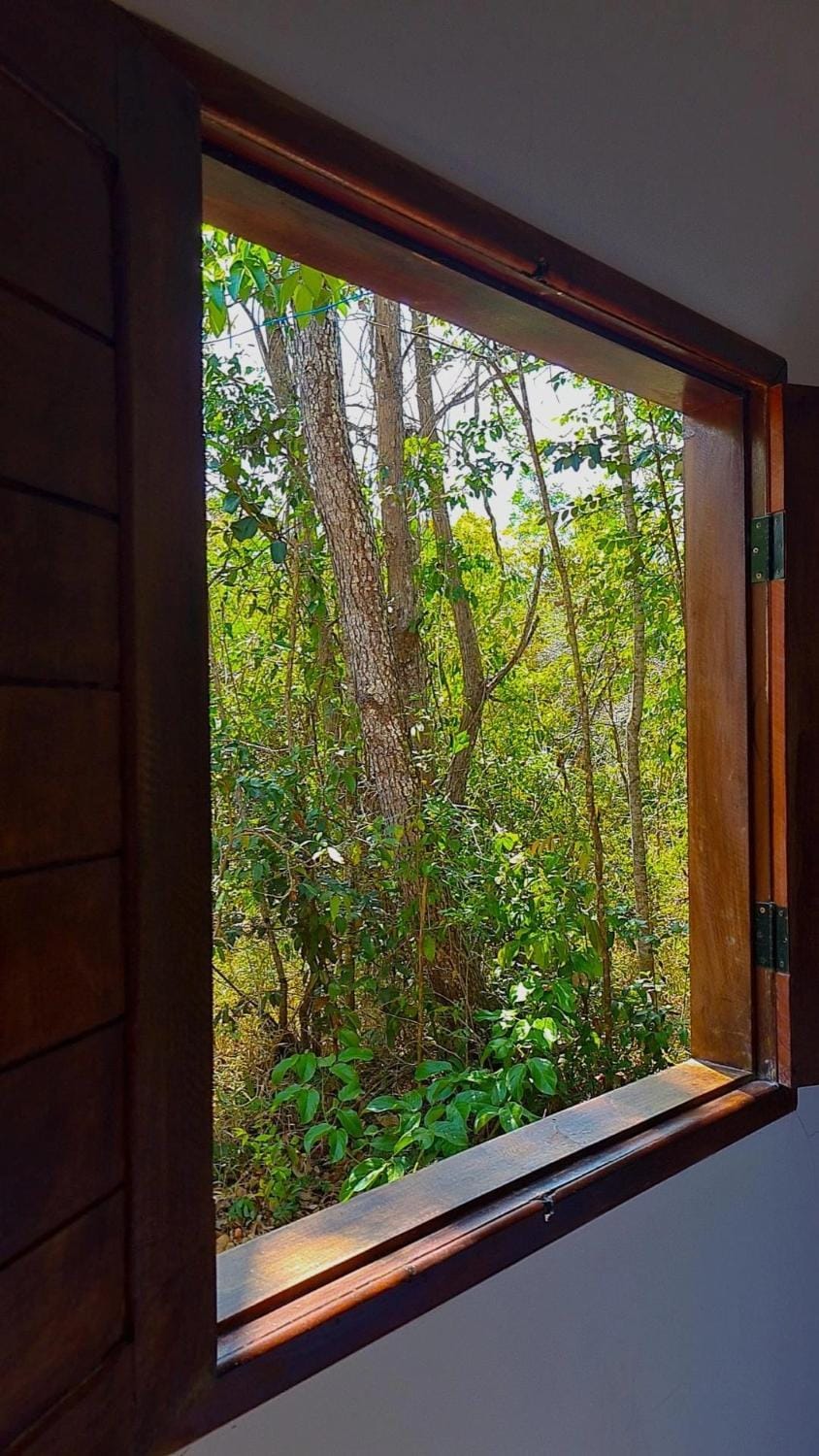 Libélula Eco Loft Apartment in State of Ceará