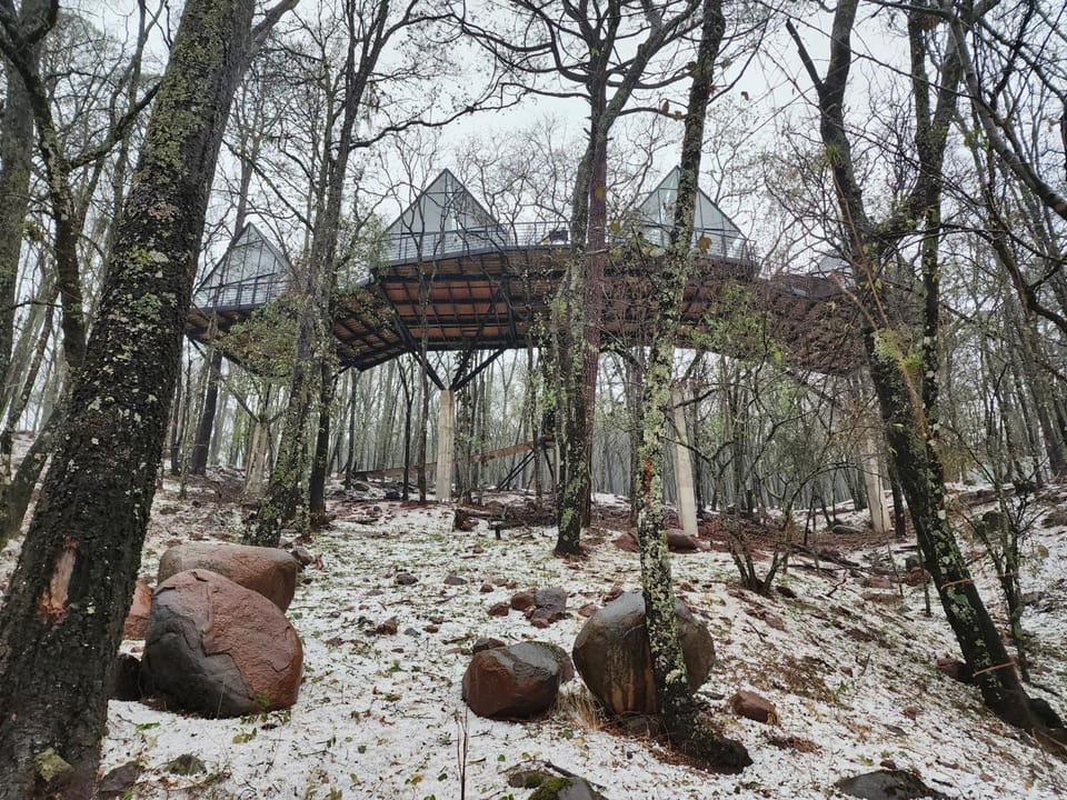 Cabaña Austral, Punta del Bosque Chalet in Hidalgo, Mexico