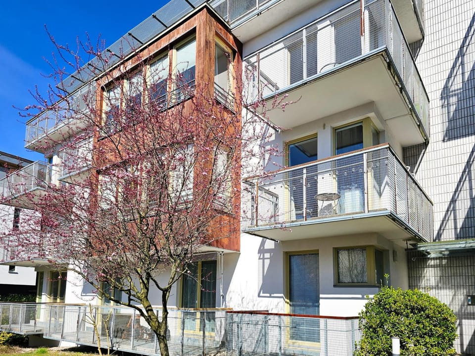 Property building, Day