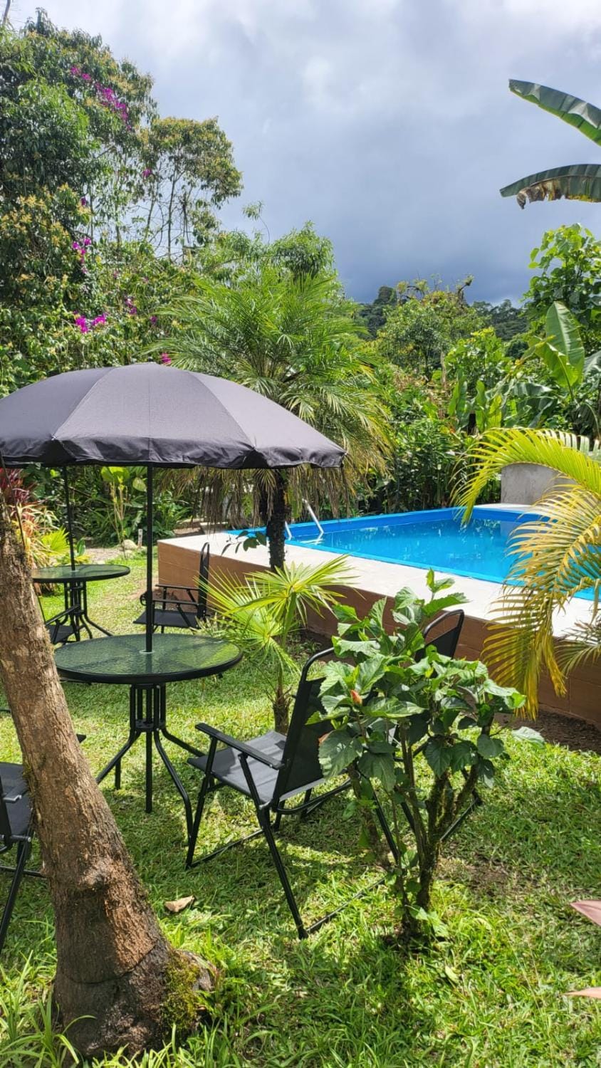Garden, Swimming pool