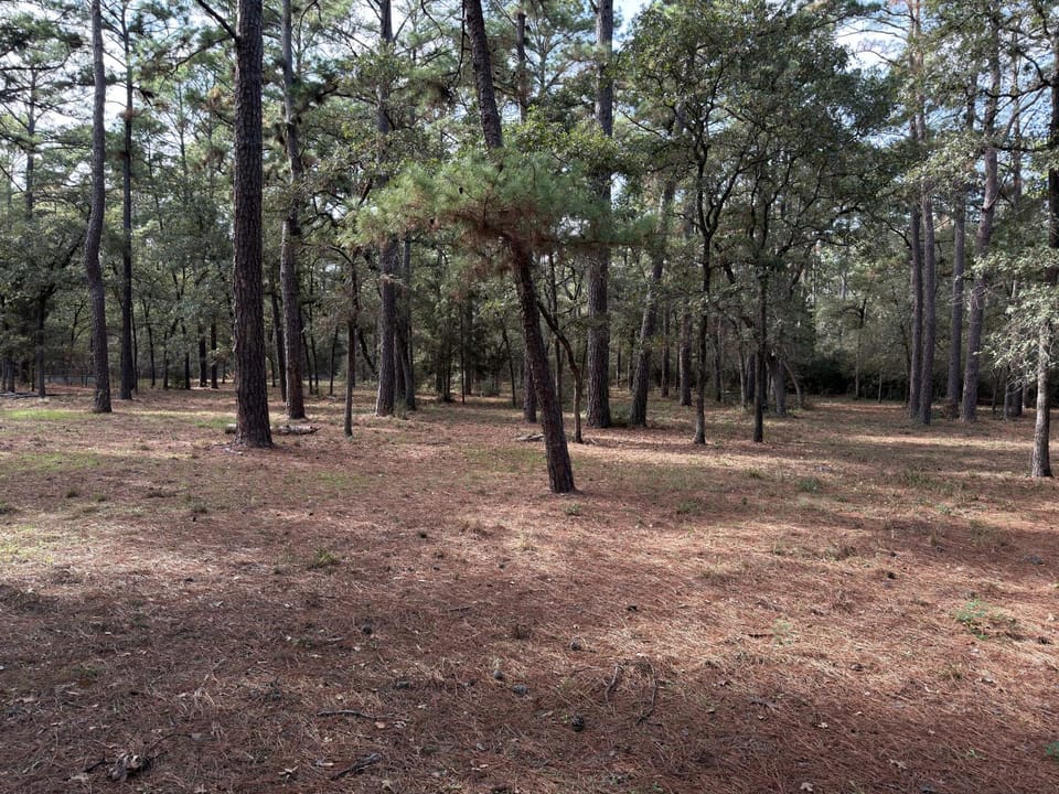 Natural landscape, View (from property/room)