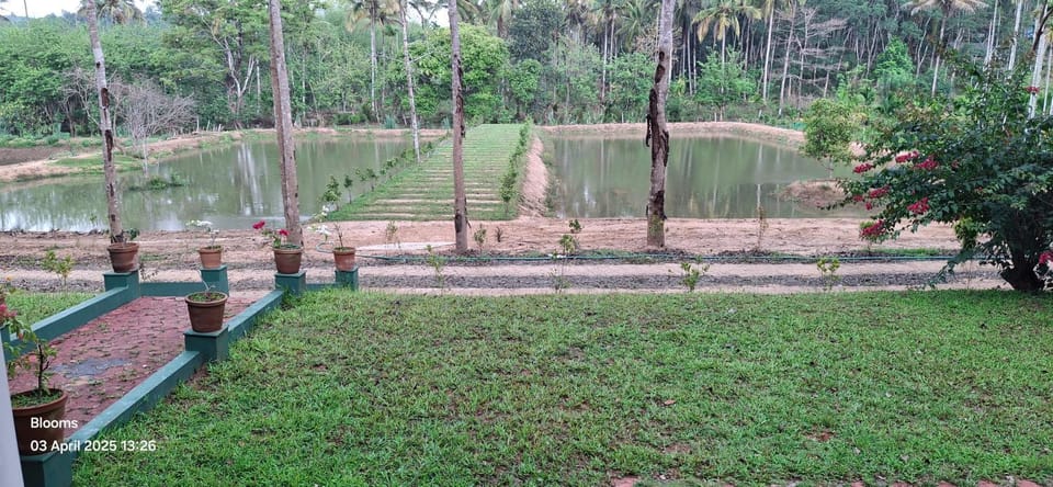 Blooms Aquatica House in Kerala