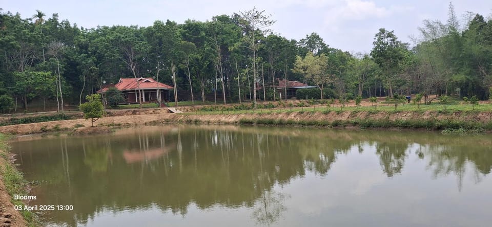 Blooms Aquatica House in Kerala