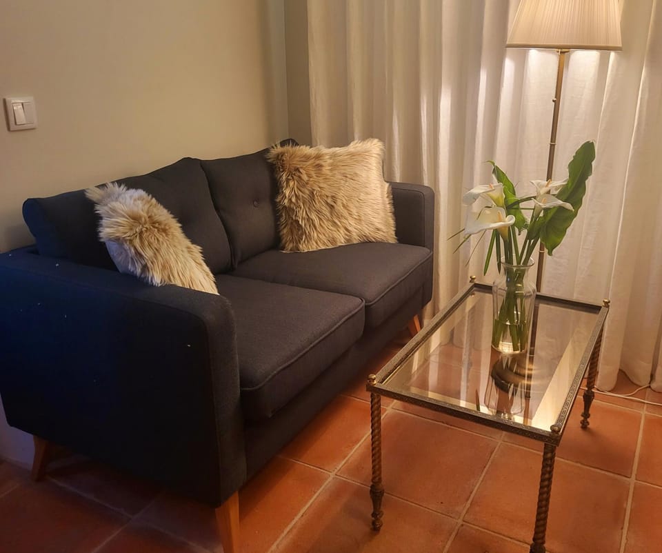 TV and multimedia, Seating area, heating, air conditioner