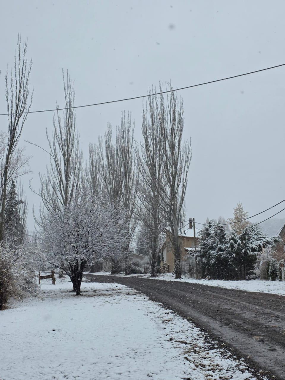 Natural landscape, Winter