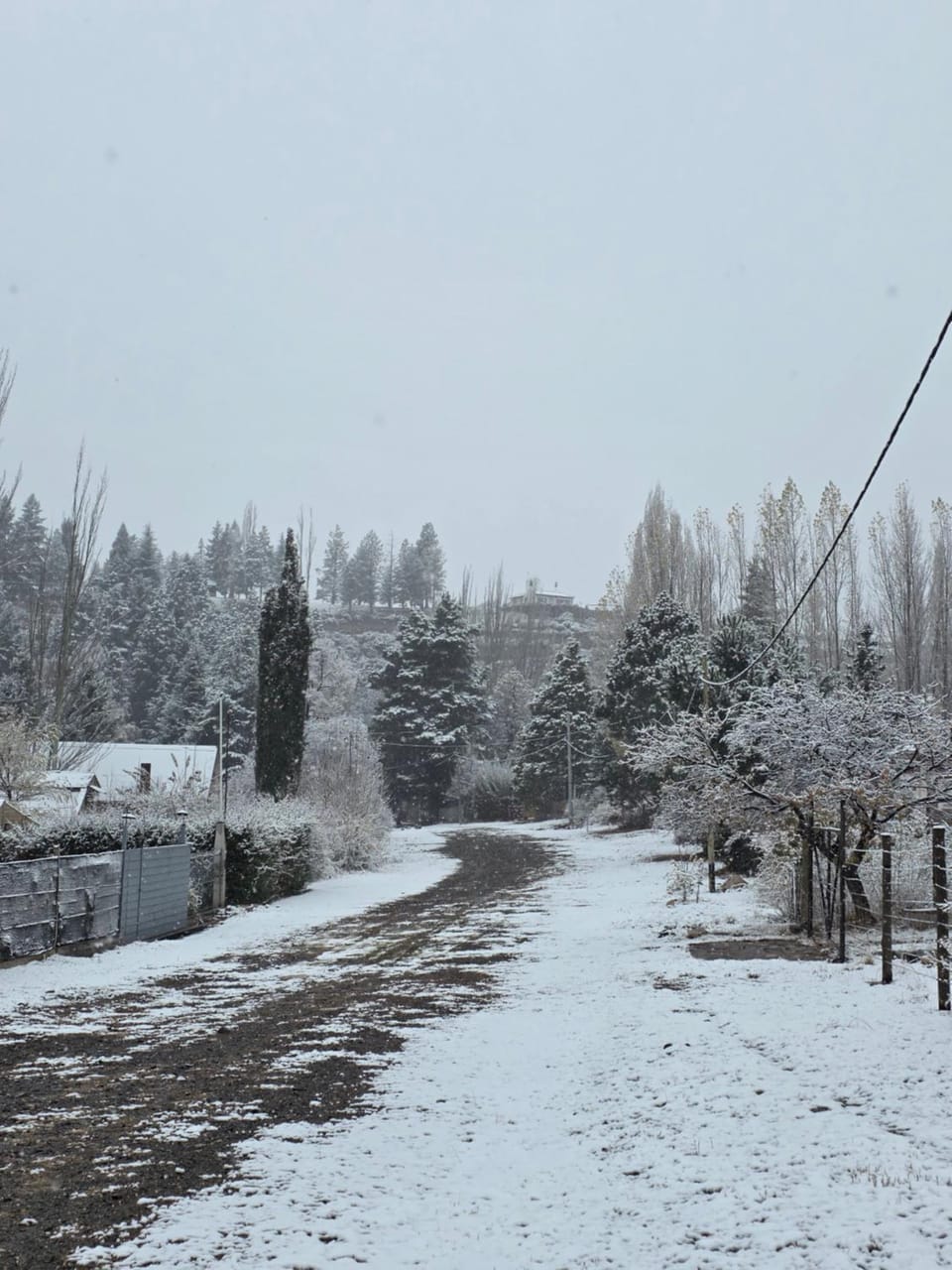 Day, Winter