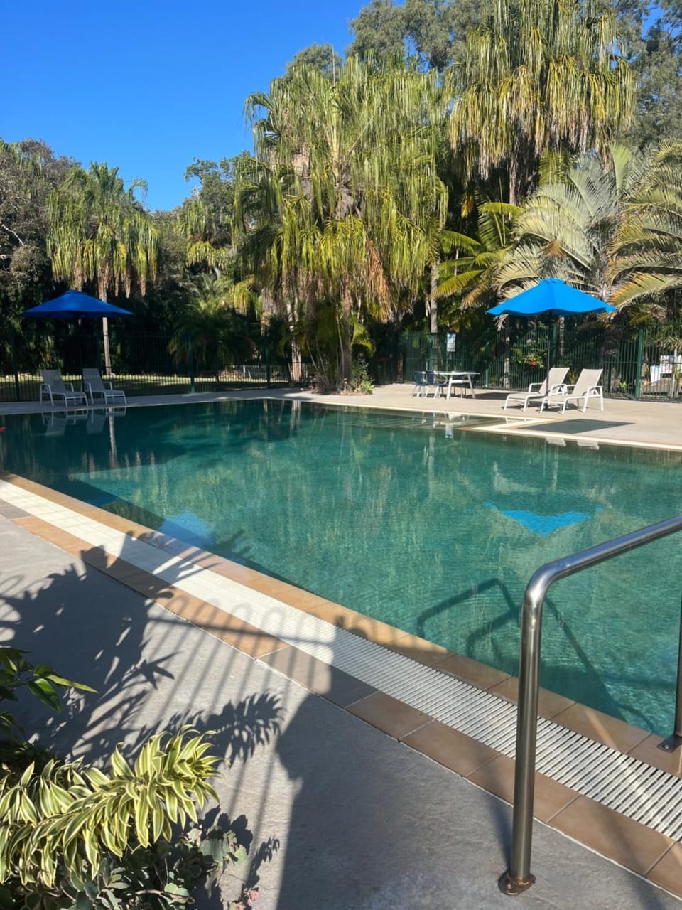 Swimming pool