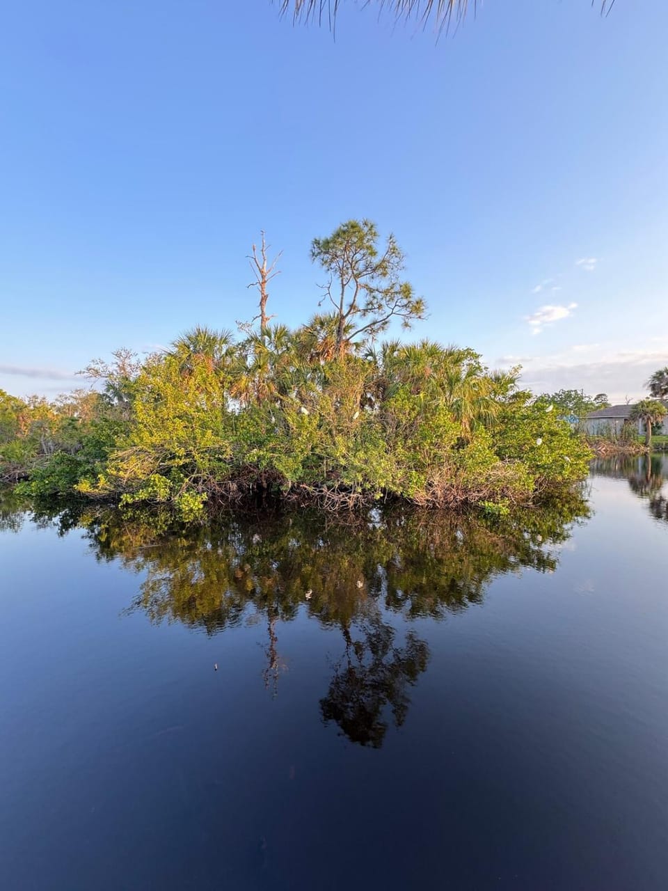 Natural landscape
