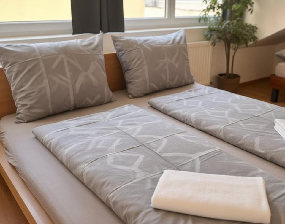 Spacious & Cozy Guesthouse - Near Metro & City Center - 3 Beds for 5 Person House in Vienna