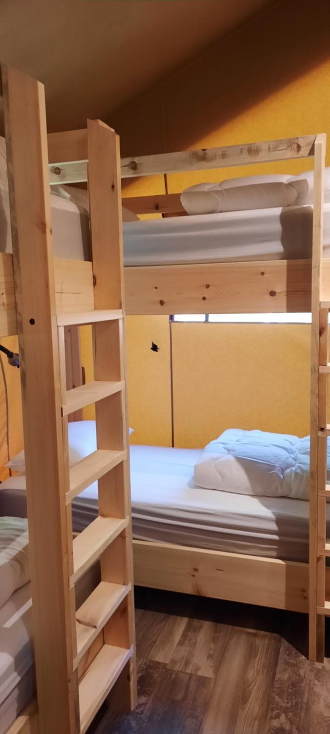 bunk bed