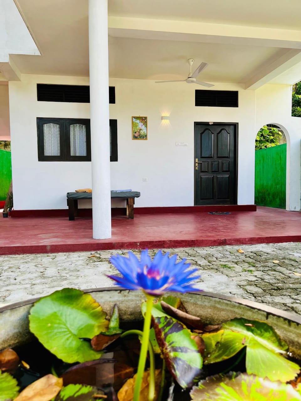 Facade/entrance, Garden, Garden view