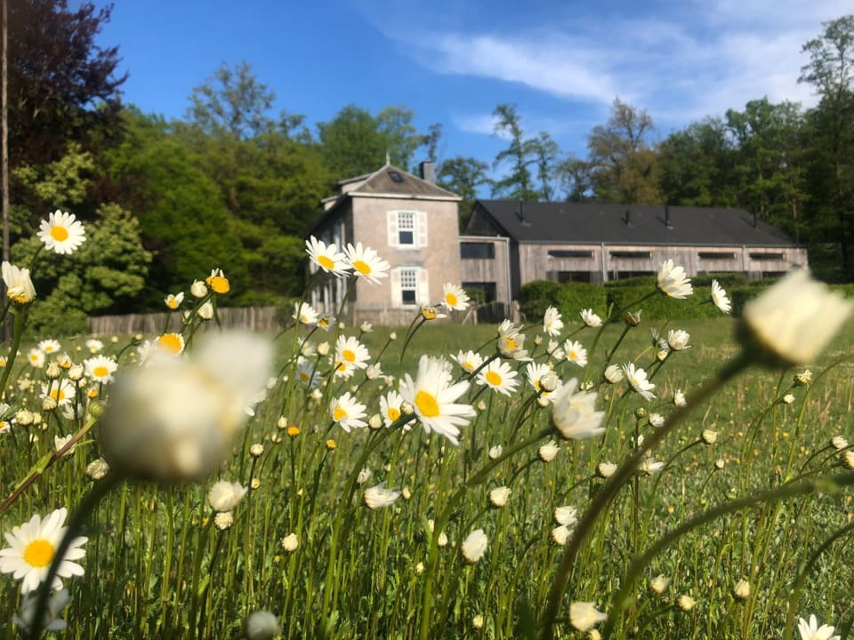 Property building, Spring, Day, Natural landscape, Activities, Garden, View (from property/room), Decorative detail, On site, Garden view, Entertainment