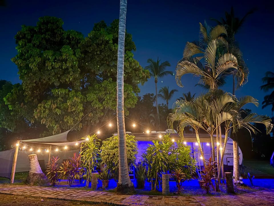 Property building, Night, Garden, Garden view