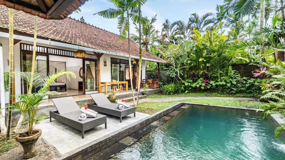 Garden, Swimming pool, sunbed