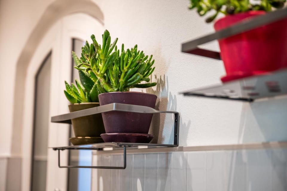 La Regia Apartment Apartment in Cuneo