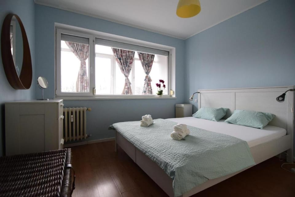 Bed, Photo of the whole room, Seating area, Bedroom, internet