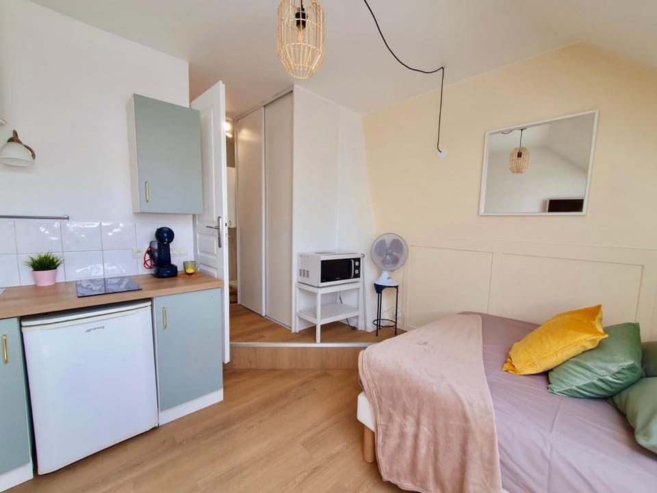 Le Saint Jacques "Belle Étoile" Logement climatisé Hyper-Centre Apartment in Grenoble