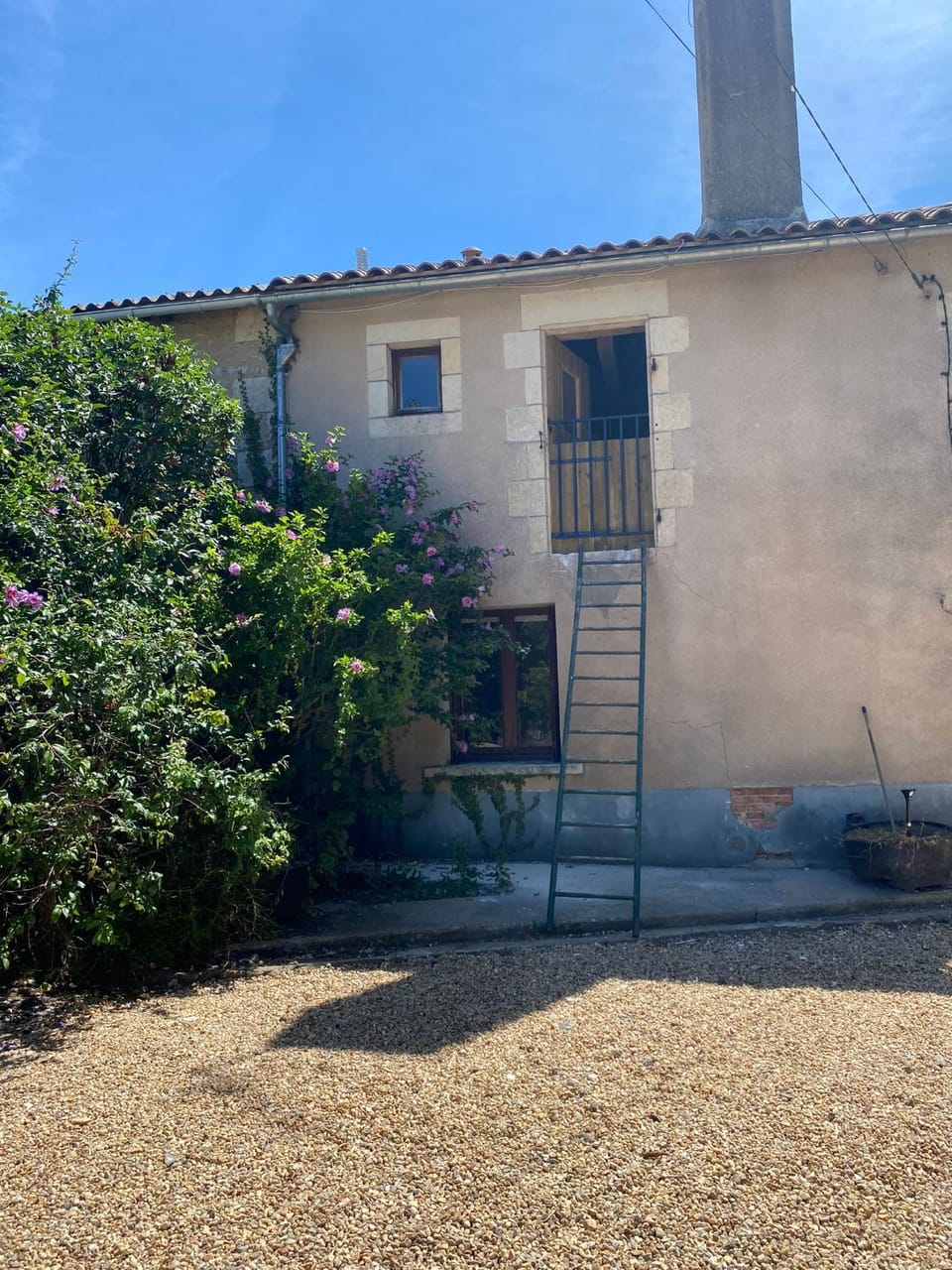 Property building, Garden, Garden view, Parking