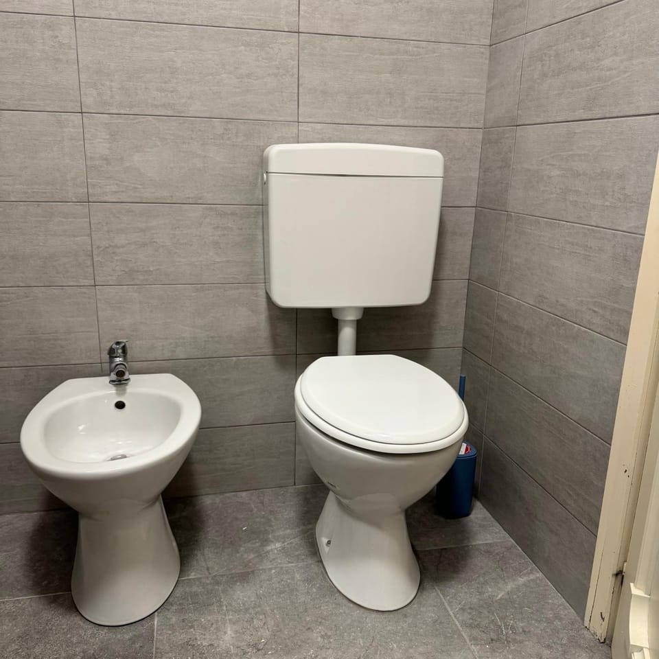 Toilet, Bathroom, bidet