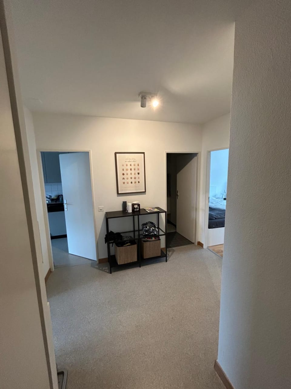 Möbelierte Wohnung mit Balkon zwischen Bahnhof und St Jakob Apartment in Basel