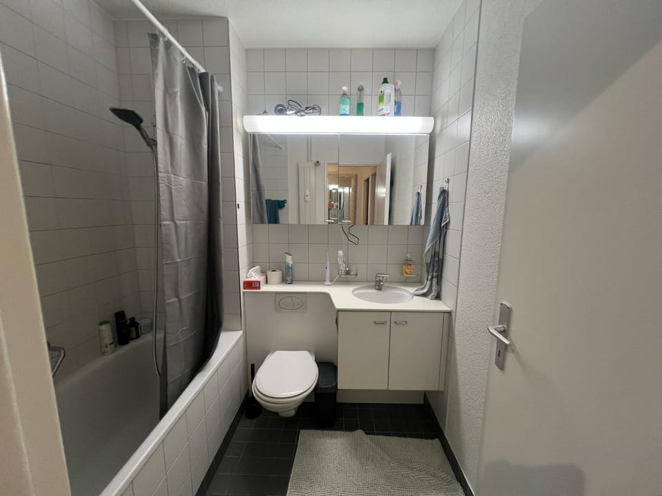 Möbelierte Wohnung mit Balkon zwischen Bahnhof und St Jakob Apartment in Basel