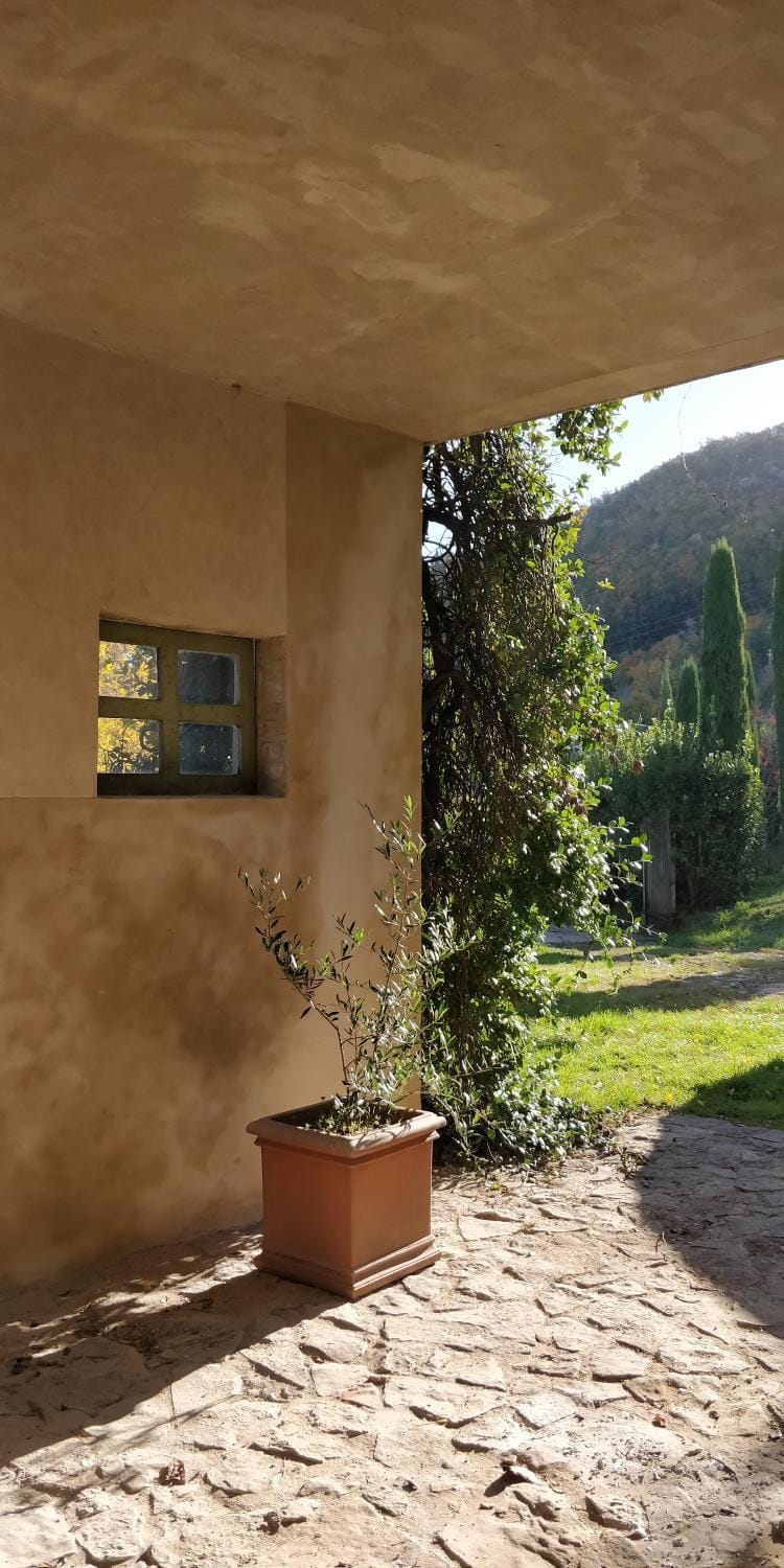 Garden, Inner courtyard view