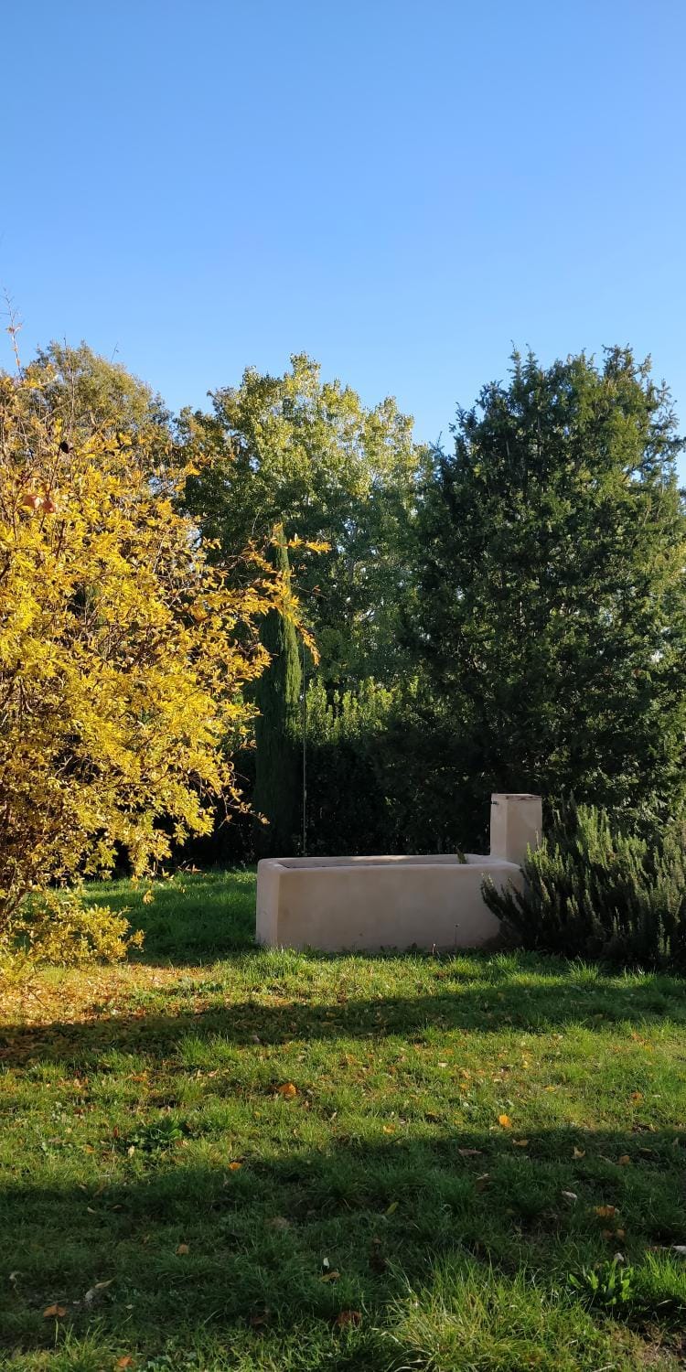 Natural landscape, Garden