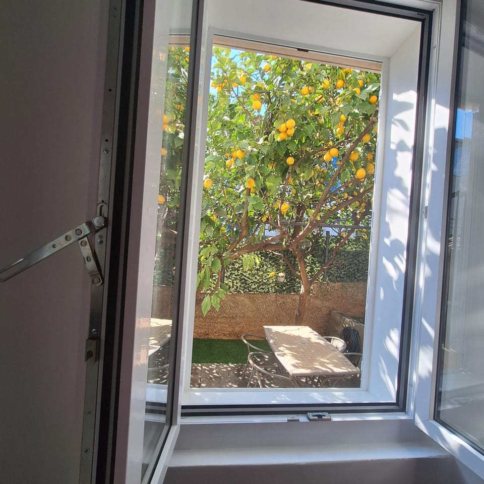 Inner courtyard view