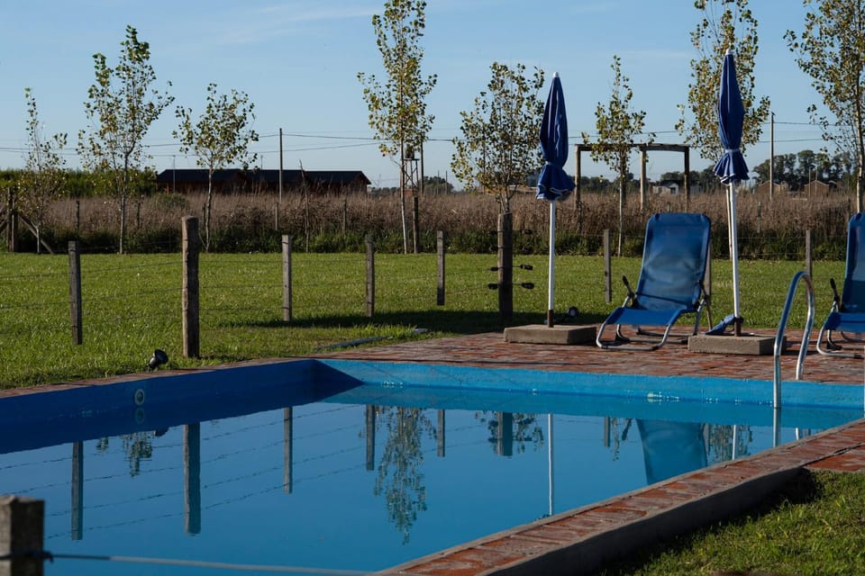 Day, Natural landscape, Garden, Garden view, Pool view, Swimming pool, Swimming pool, sunbed