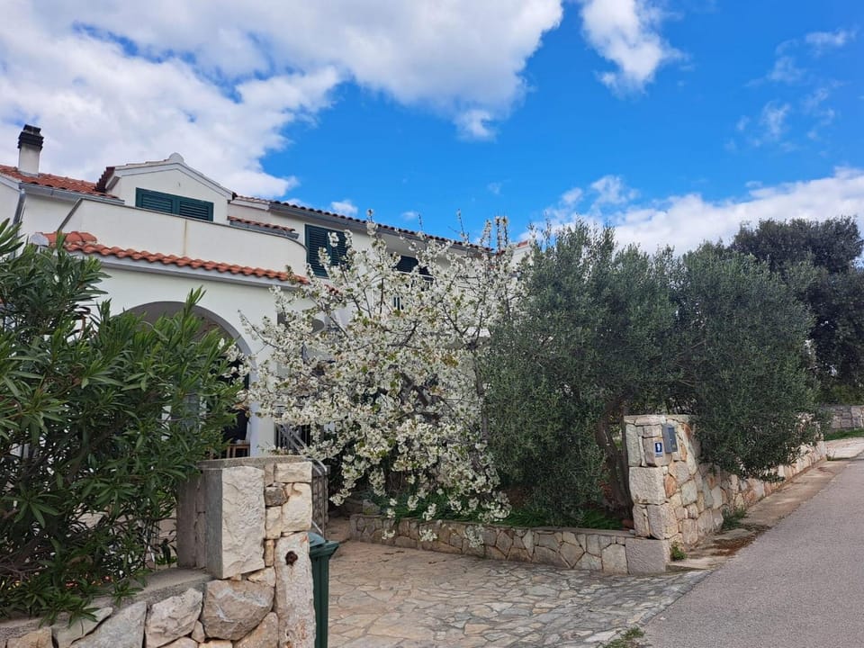 Property building, Patio