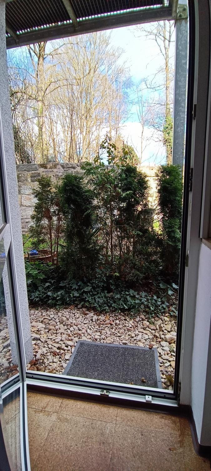 Spring, Day, Natural landscape, Garden, Garden view