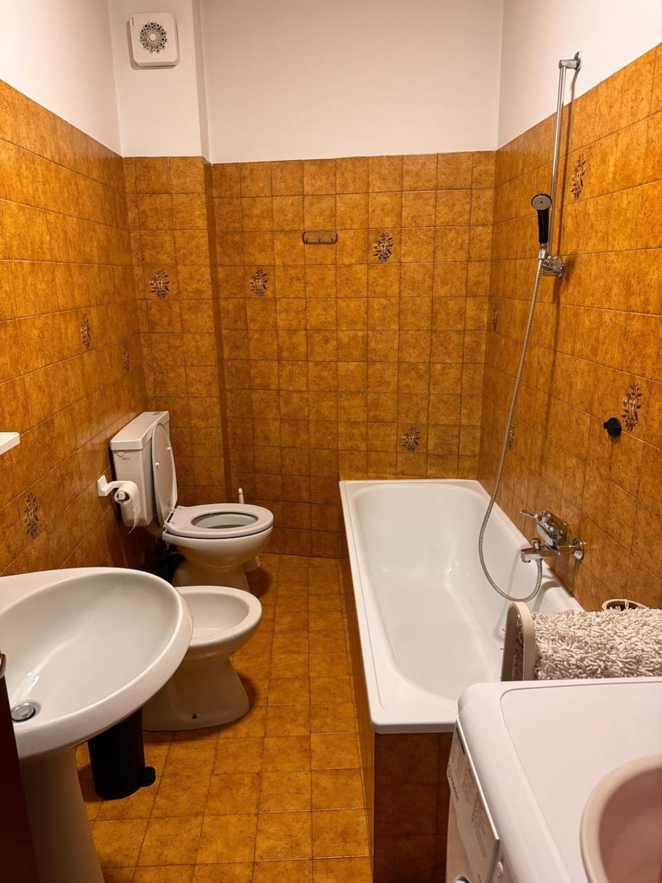 Simi Dolomiti Apartment in Trentino-South Tyrol