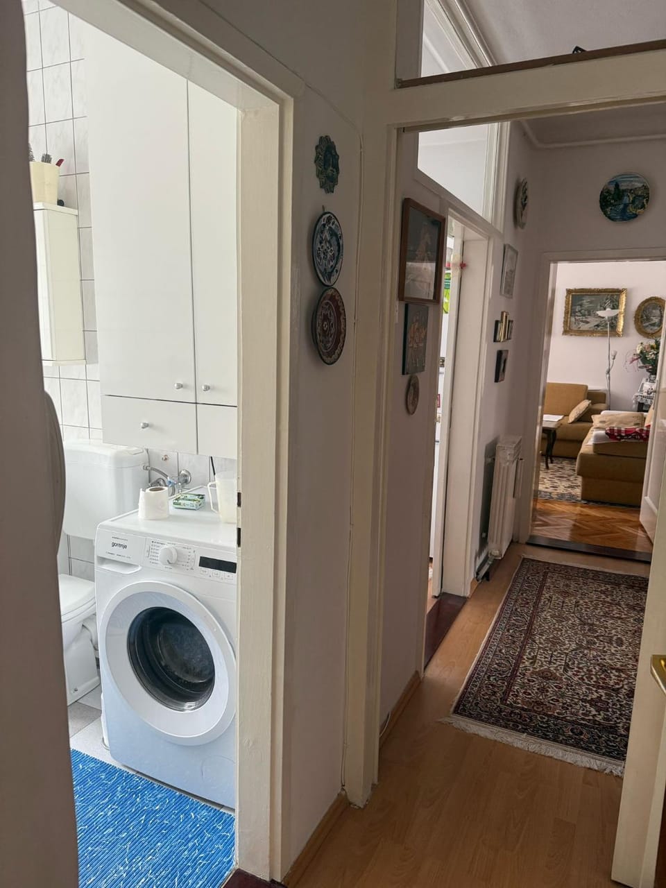 Living room, washing machine, dryer