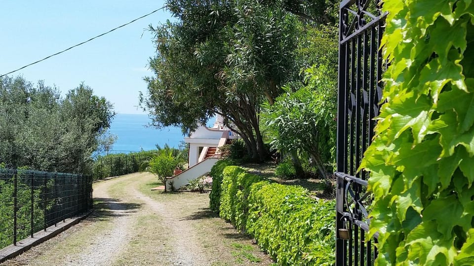 Day, Natural landscape, Summer, Garden, Garden view, Sea view