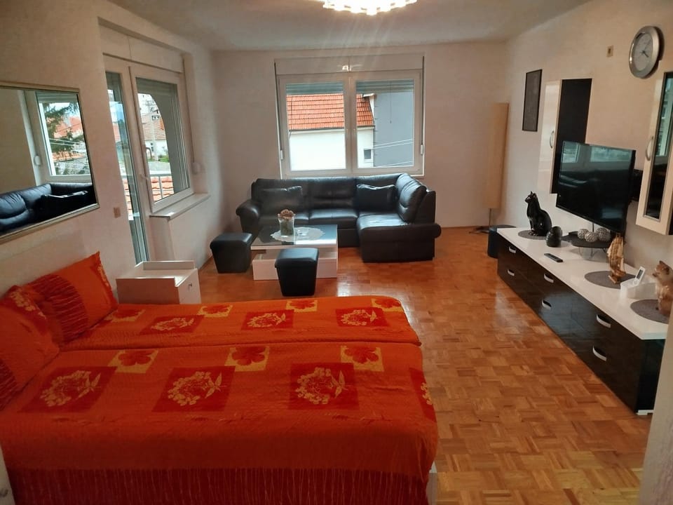 Bed, TV and multimedia, Living room, Photo of the whole room, Seating area, Bedroom, air conditioner