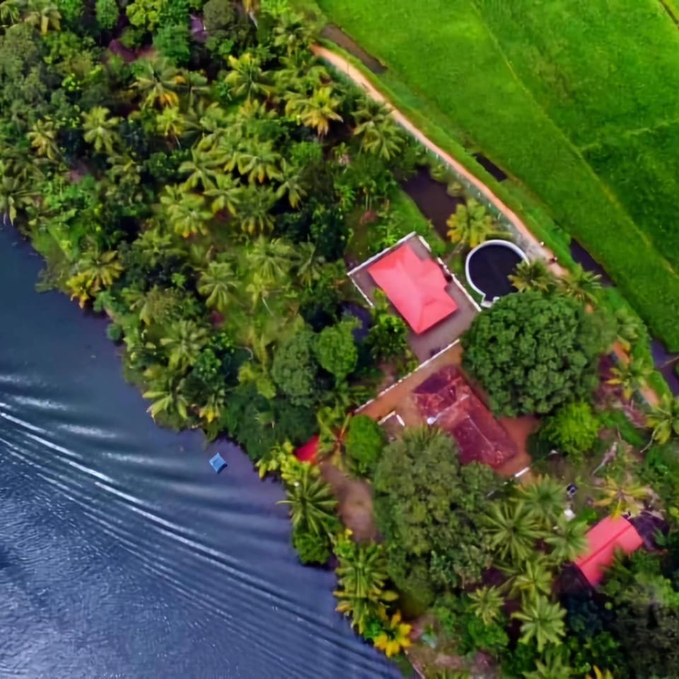Natural landscape, Garden view, River view