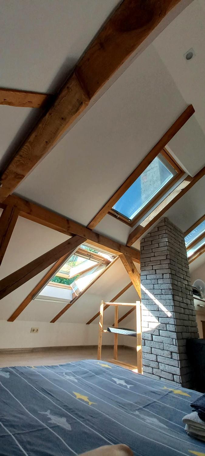 Vėtrungėlė Apartment in Klaipėda County, Lithuania