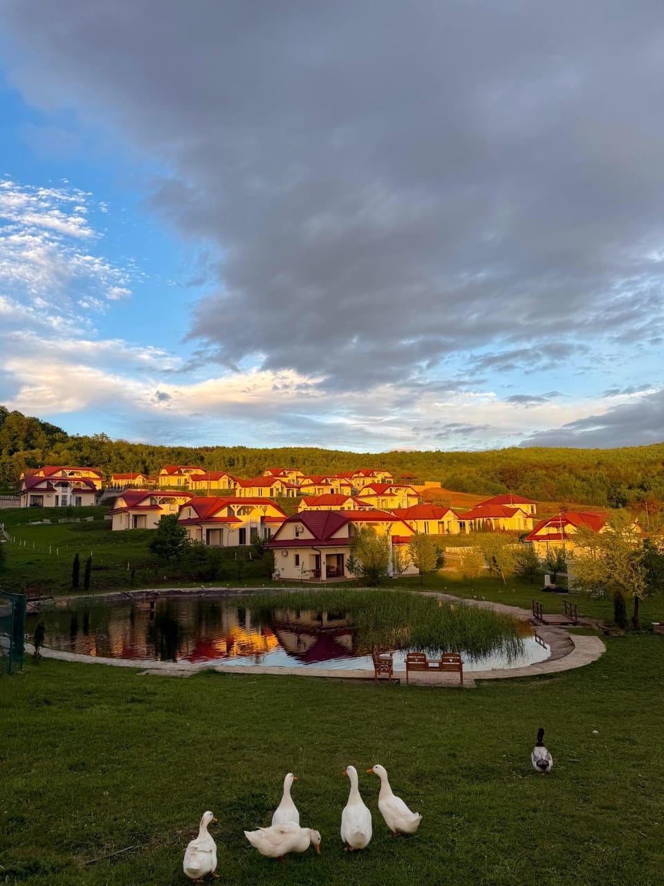 Forest House Villa in Federation of Bosnia and Herzegovina