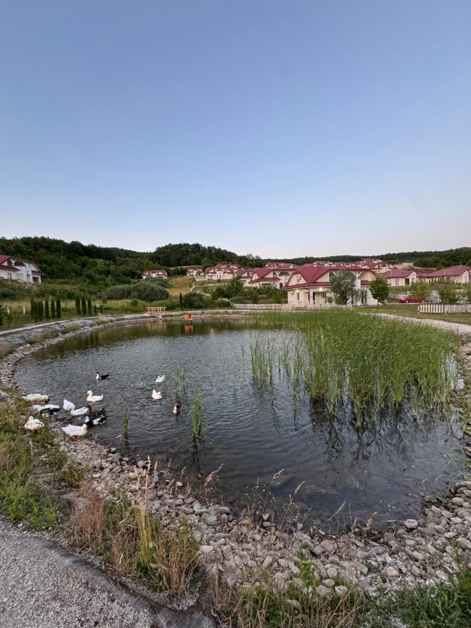 Lake view