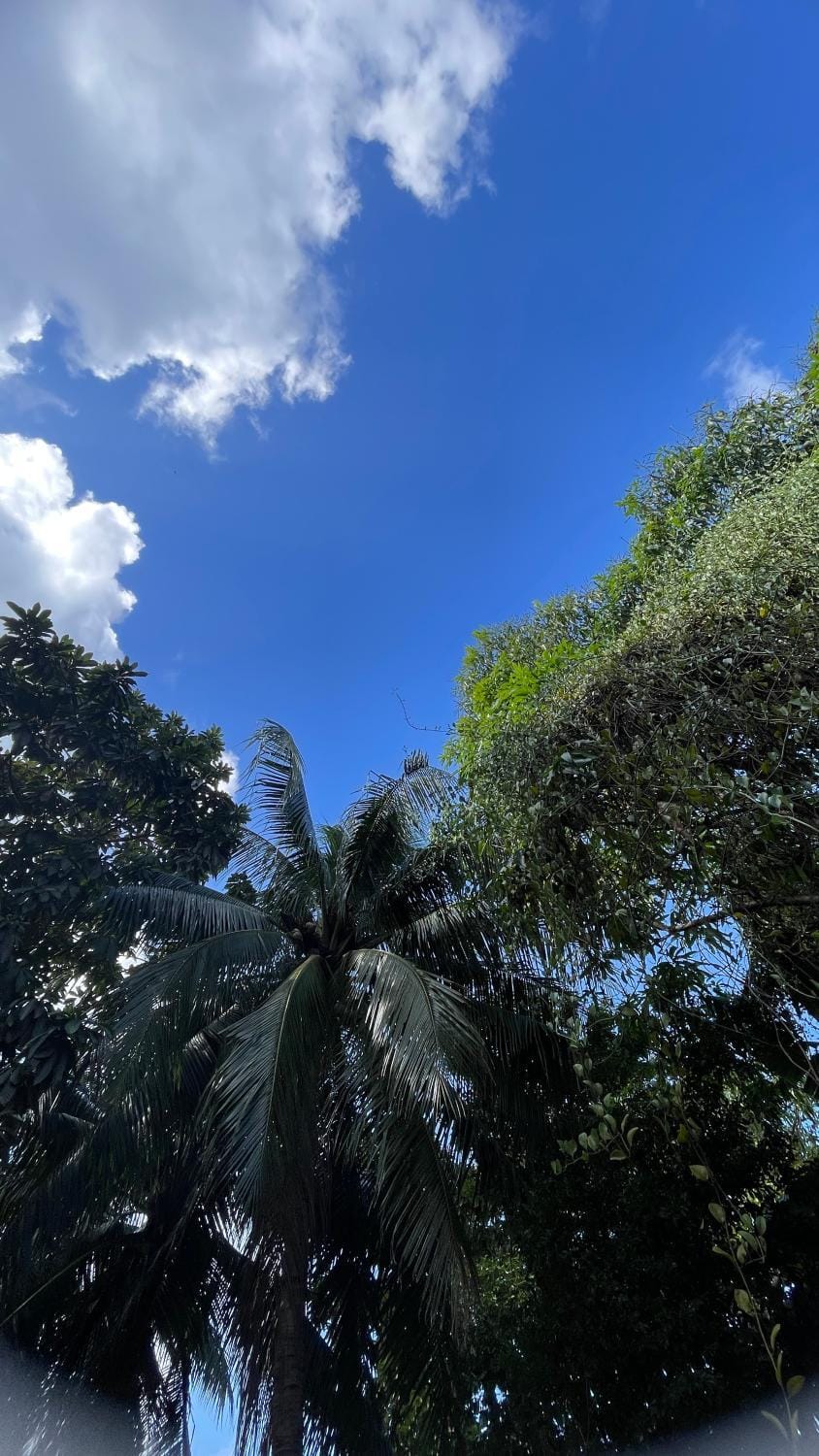 Casa Quintana Apartment in Bacalar