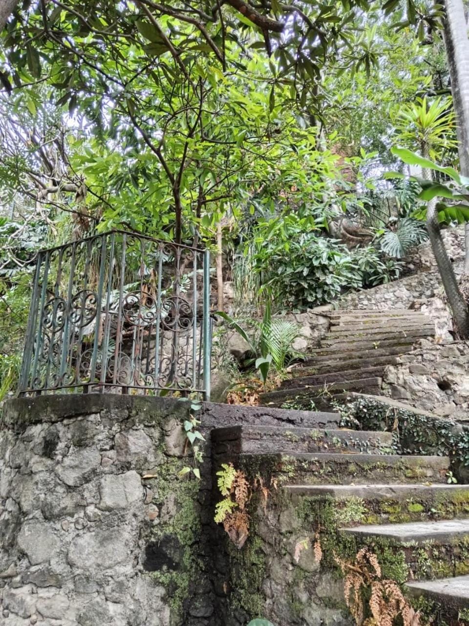Garden, Garden view