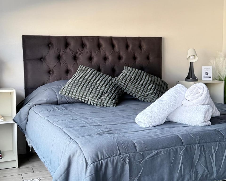 Cómodo, especial y único departamento en Santiago Apartment in Santiago