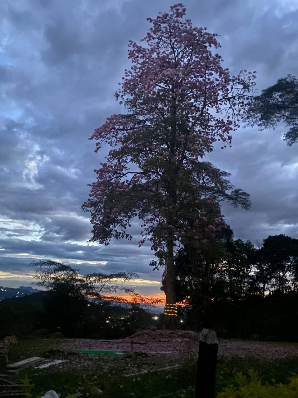 Natural landscape, Sunset