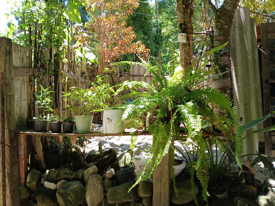 Recanto alegria Nature lodge in State of São Paulo