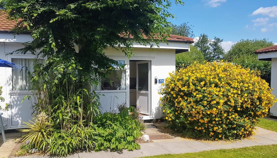 Garden, Balcony/Terrace