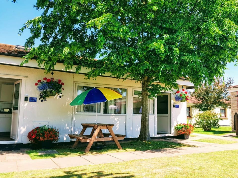 Patio, Garden, Balcony/Terrace