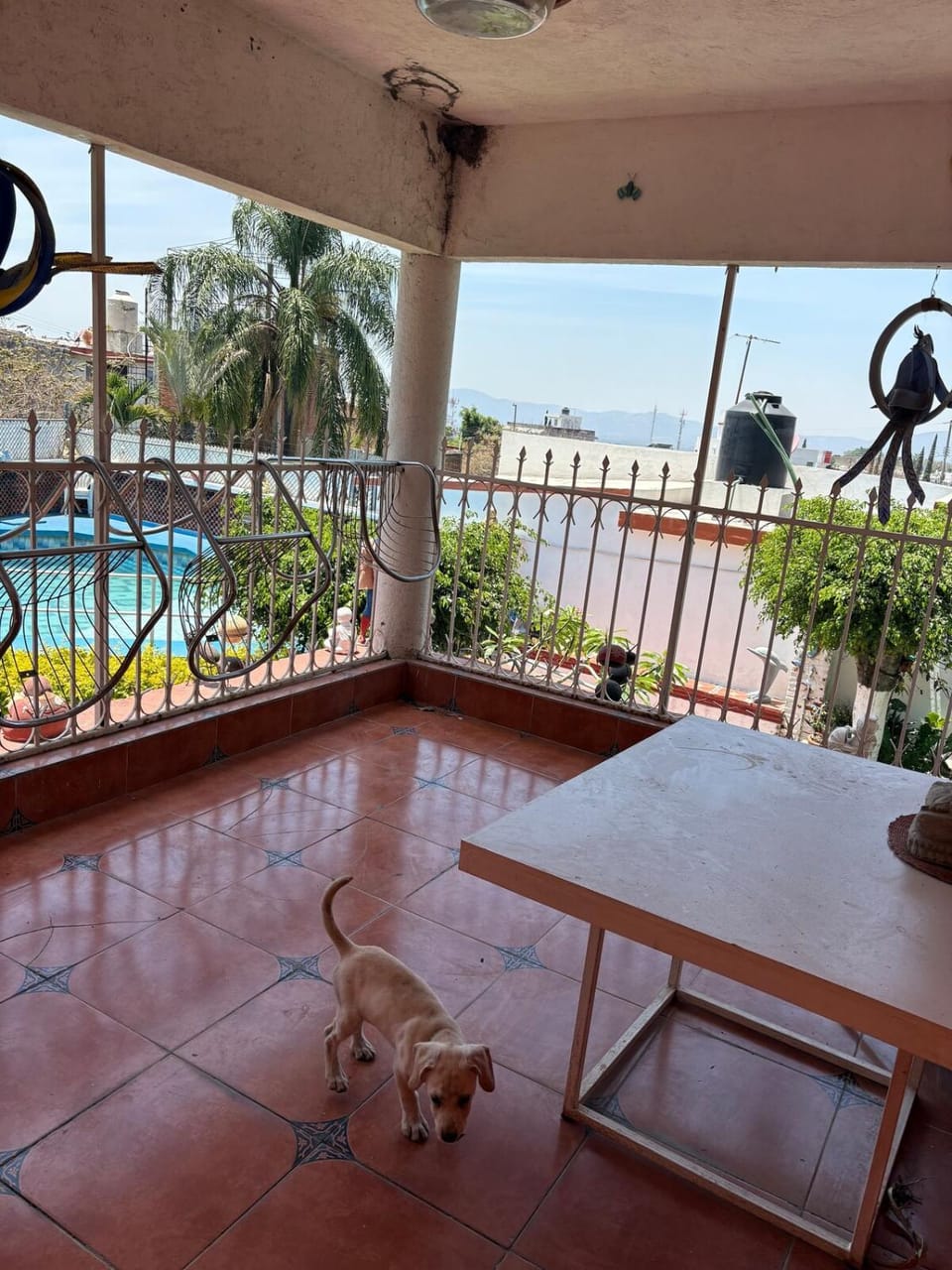 Balcony/Terrace, Pool view